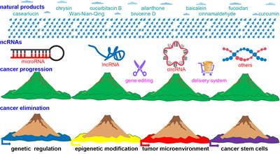 Editorial: Combating Cancer With Natural Products: What Would Non-Coding RNAs Bring?